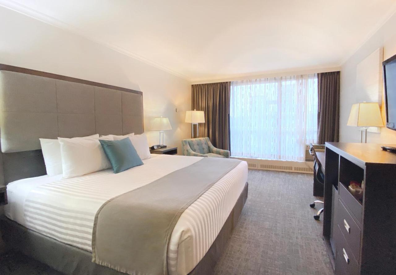 Premium King Room Sofa Bed Non-Smoking,1598398572:JPEG