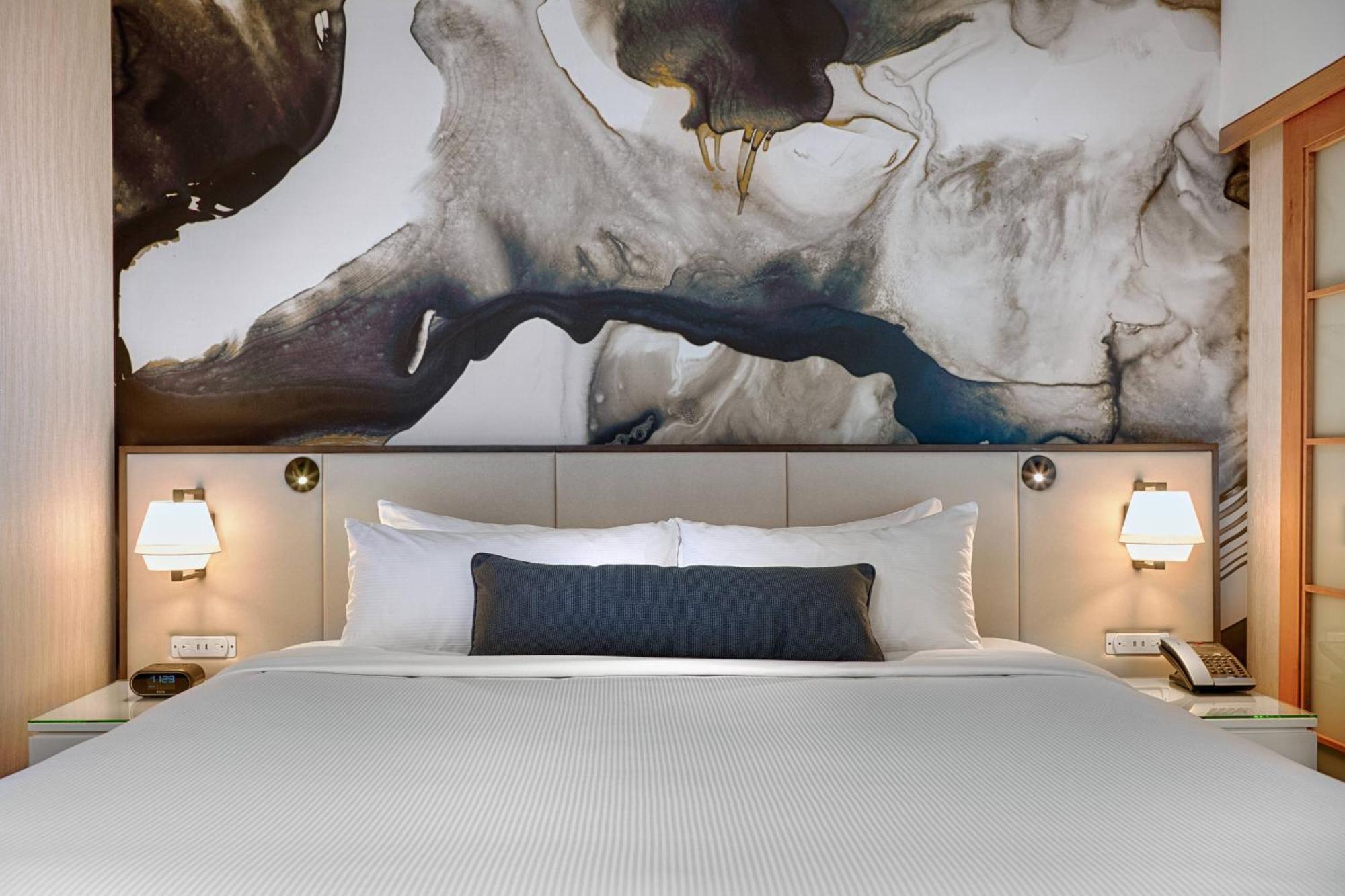 Suite 1 King Sofa bed