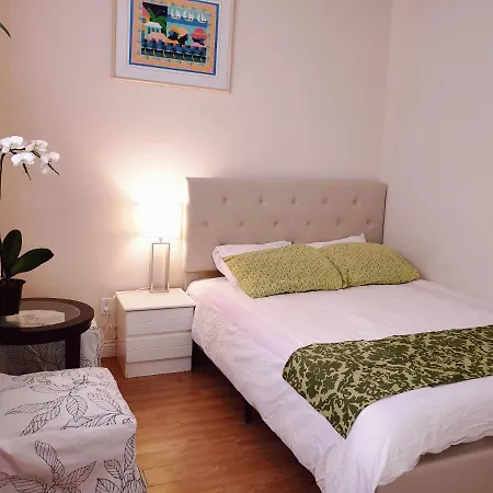 Lisa'S Lovely Little House-2