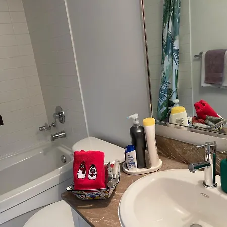 Vancouver Downtown Central 1 Bedroom Condo-3
