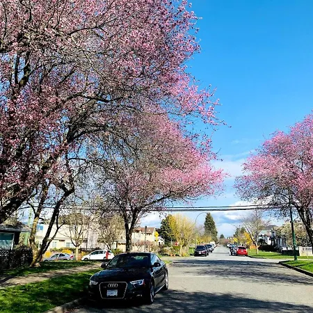 Charming East Van Hideaway - Near Skytrain-2