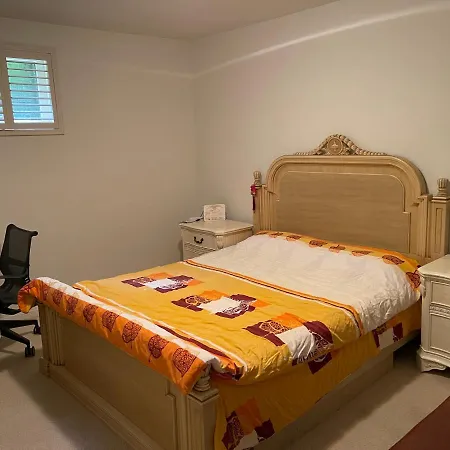 Airnest-2