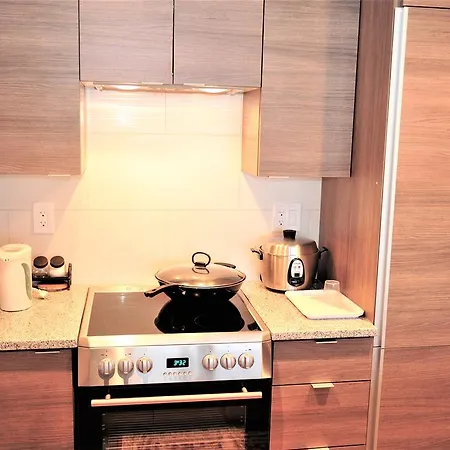 Brand New 1Bdr 1Den Condo In Vancouver-3